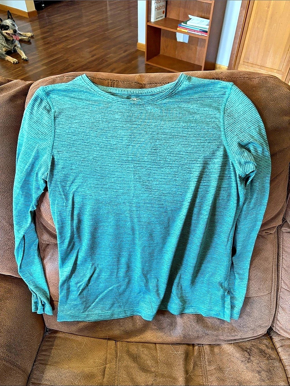 Blue Long Sleeve Top Like New